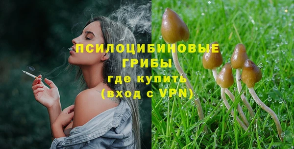 дмт Абинск