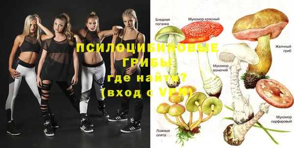 дмт Абинск